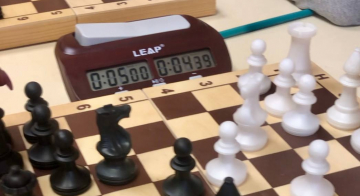 Шахматы